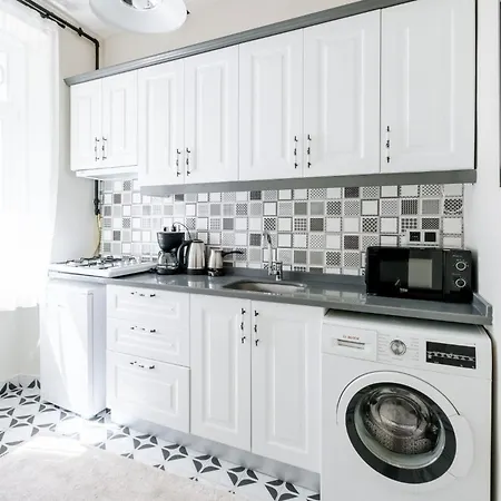 公寓 Modern Renovated Flat In The Heart Of Istiklal *