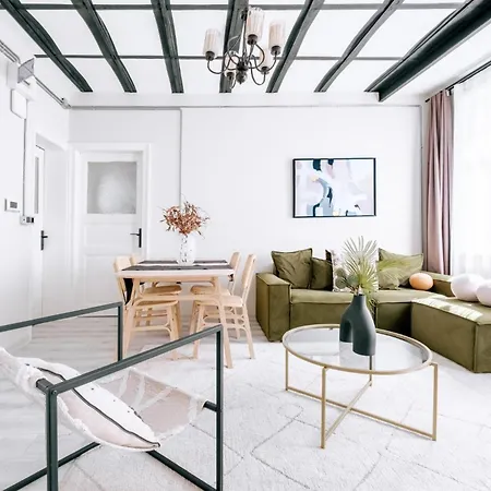 公寓 Modern Renovated Flat In The Heart Of Istiklal *